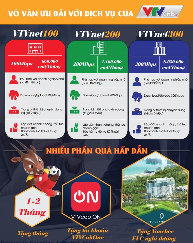 1f26192f171f4b88a40040f66f6e6a91-1 Internet doanh nghiep VTVCab