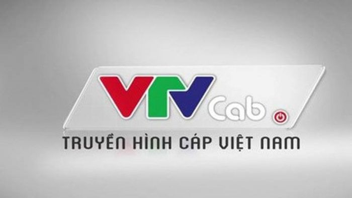duong-day-nong-truyen-hinh-cap-viet-nam-vtvcab