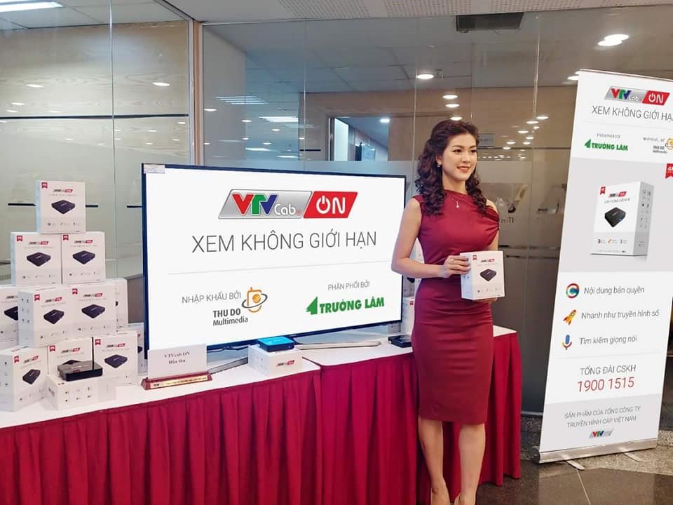 duong-day-nong-truyen-hinh-cap-viet-nam-vtvcab
